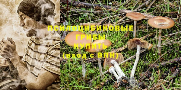 прущая мука Алзамай