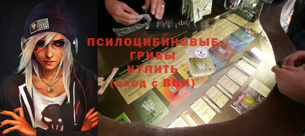 гидра Алексин