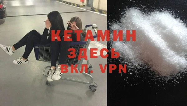 гидра Алексин