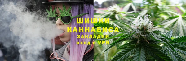 гидра Алексин
