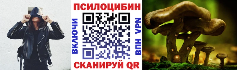 где найти наркотики Гвардейск Галлюциногенные грибы мицелий